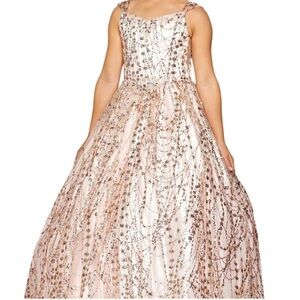 Rose Gold Cinderella Long Princess Dress for Kidss